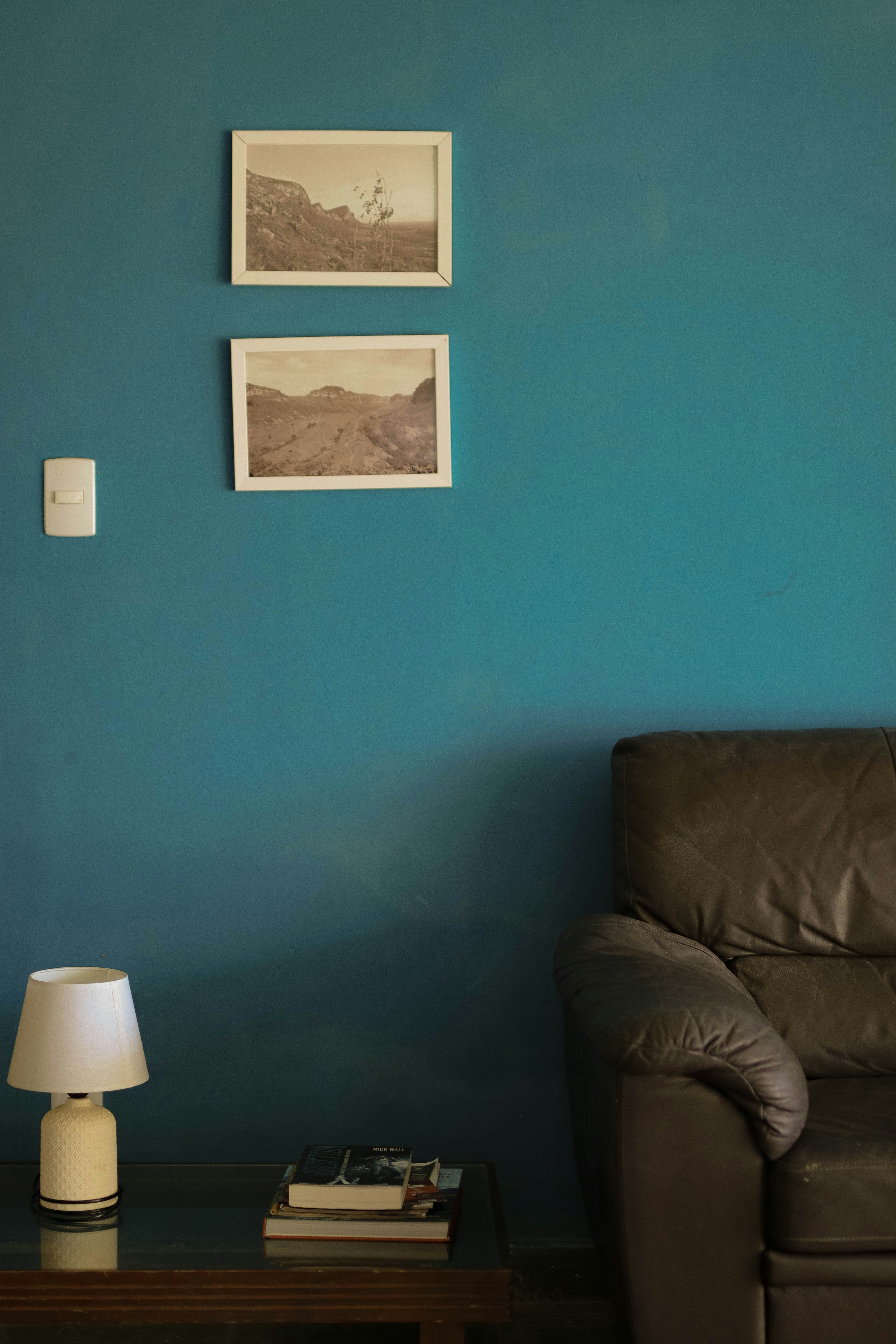 Homey living room renovation with leather couch